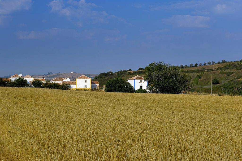 Aldeia Da Mata Pequena Hotel Mafra Eksteriør billede